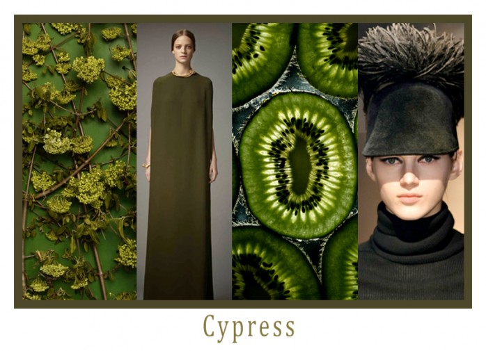 Cypress_Collage