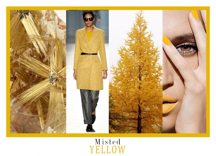 Misted-Yellow_collage