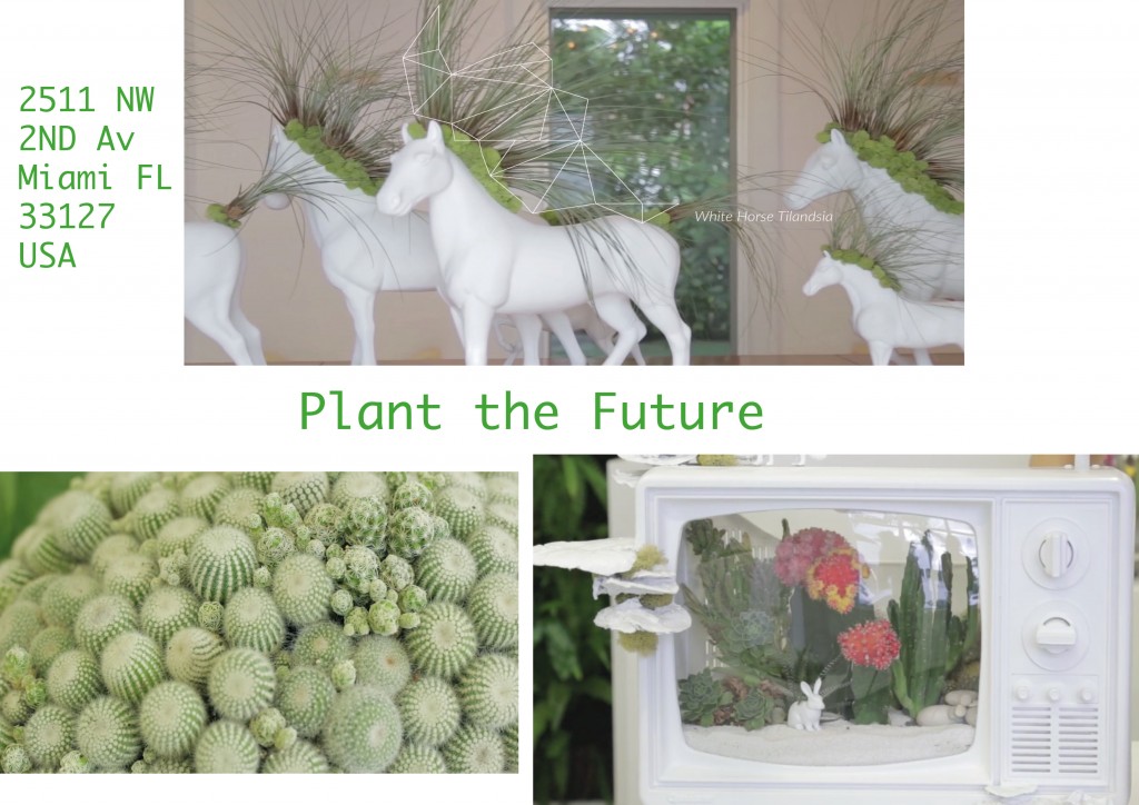 Plant the Future FOTO