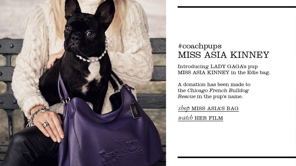 miss_asia_kinney_feature_Coach_