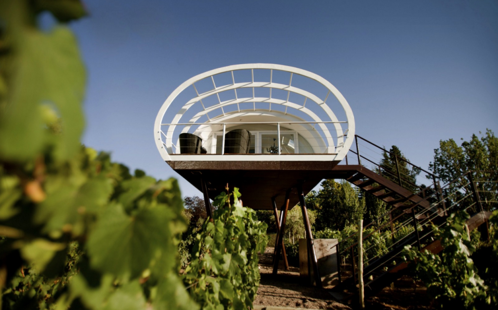 entre-cielos-glamping-viñedos-vino