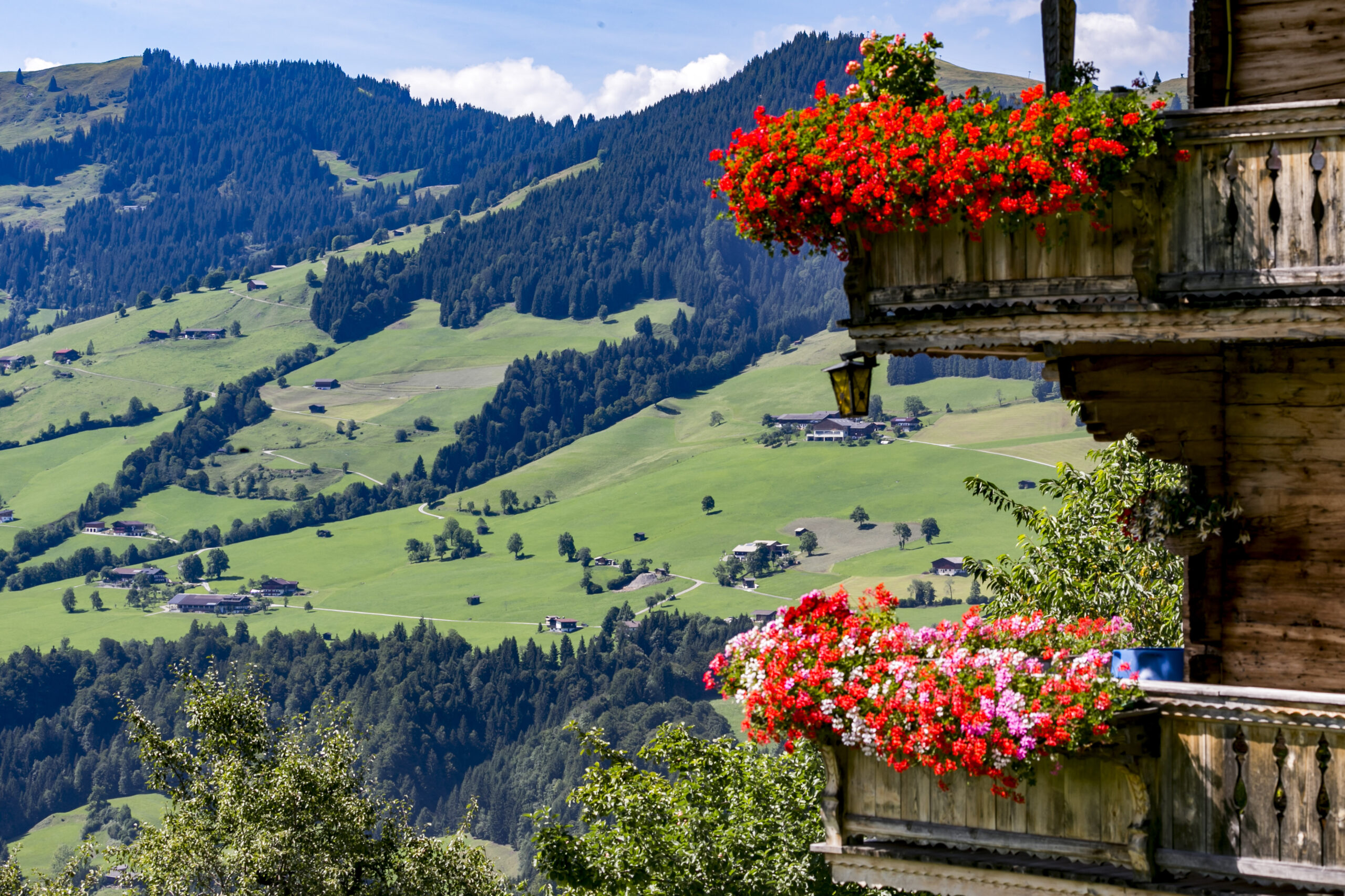 Granja tirolesa - Austria - MagazineHorse