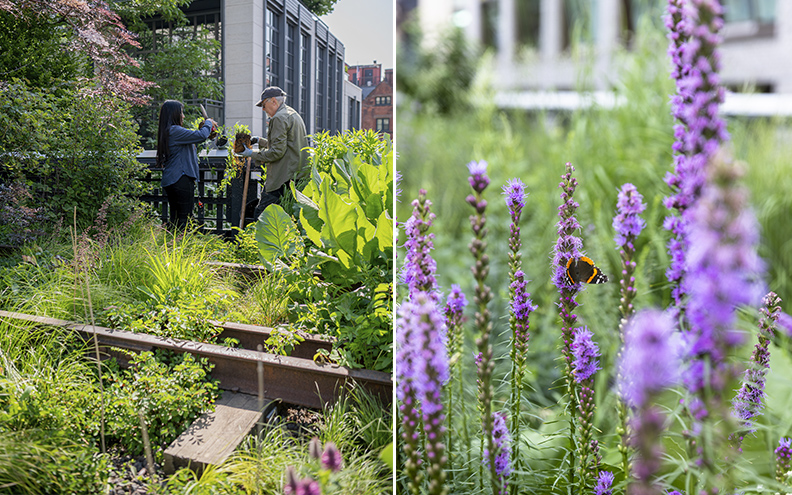 High_Line_NY_Horticultura_Flores_Magazine_Horse