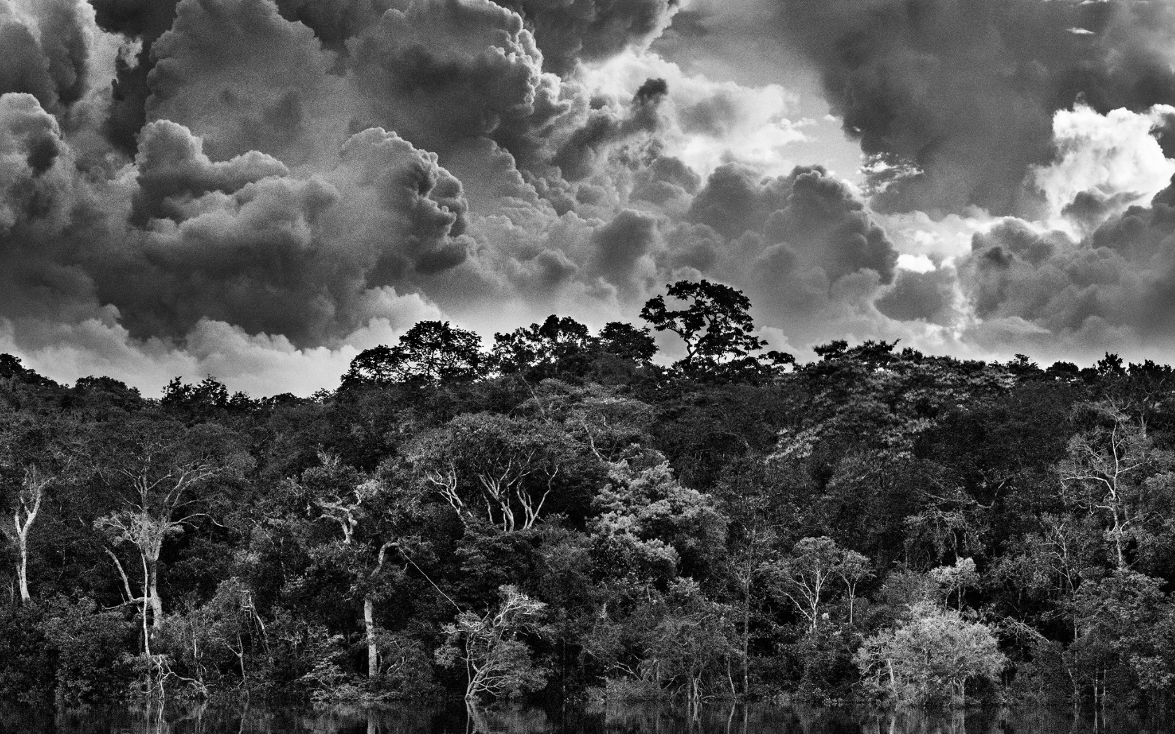 sebastiao salgado magazine horse