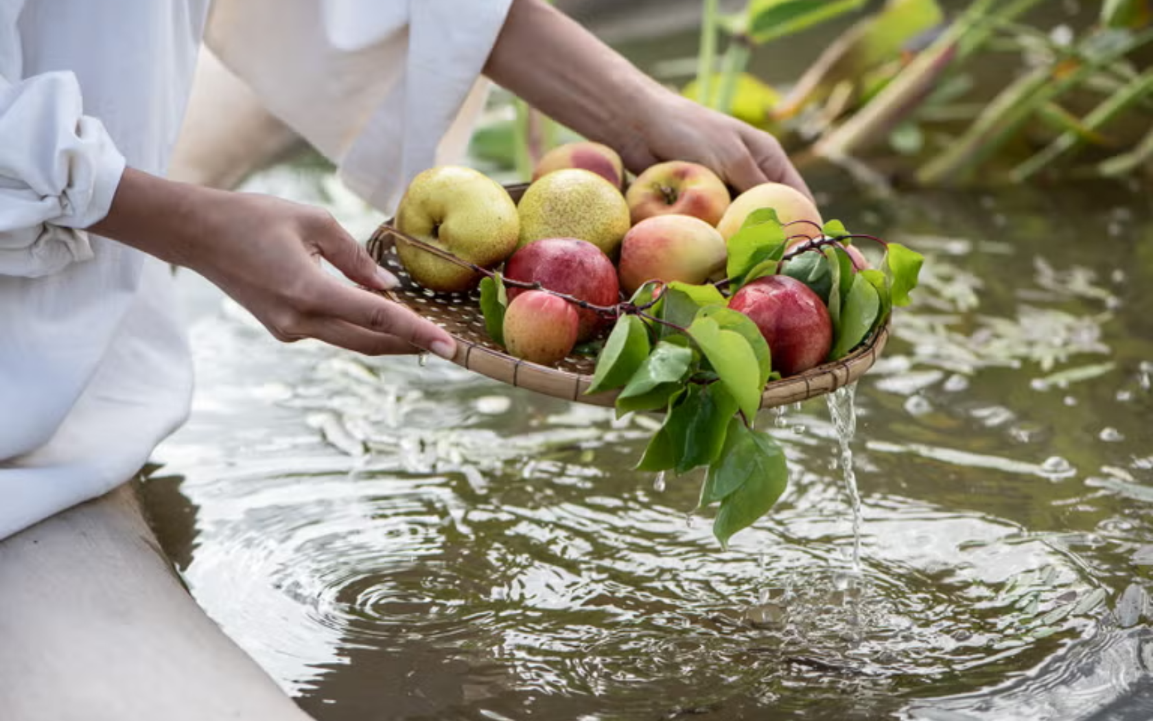 The lake. Editorial credit: Sterrekopje Farmhouse